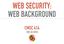 WEB SECURITY: WEB BACKGROUND