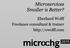 Microservices Smaller is Better? Eberhard Wolff Freelance consultant & trainer