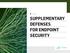 SUPPLEMENTARY DEFENSES FOR ENDPOINT SECURITY