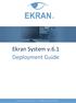 Ekran System v.6.1 Deployment Guide