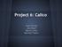 Project 6: Calico. Saad Ahmad Jola Bolaji Melvin Chien Maxwell Taylor