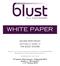 WHITE PAPER. SECURE PEER ASSIST and how it works in THE BLUST SYSTEM