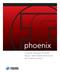 phoenix Upgrade Packages for SLM Model 4800/48000/8000/8100 Spectrofluorometers