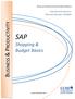 SAP Shopping & Budget Basics