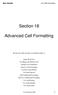Section 18. Advanced Cell Formatting
