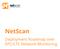 NetScan. Deployment Roadmap over EPC/LTE Network Monitoring
