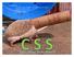 .hedgehog { background-image: url(backyard.jpg); color: #ffff99; height: 6in; width: 12in; } .tube {