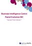 Business Intelligence Centre Pastel Evolution BIC. Tips and Tricks Volume 1