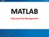 MATLAB. Data and File Management