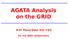 AGATA Analysis on the GRID