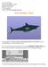 Course: 3D Design Title: Mesh Modeling Shark Dropbox File: Shark.zip Blender: Version 2.45 Level: Beginning Author: Neal Hirsig
