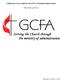 Conference Users Guide for the GCFA Statistical Input System.