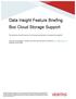 Data Insight Feature Briefing Box Cloud Storage Support