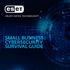 SMALL BUSINESS CYBERSECURITY SURVIVAL GUIDE